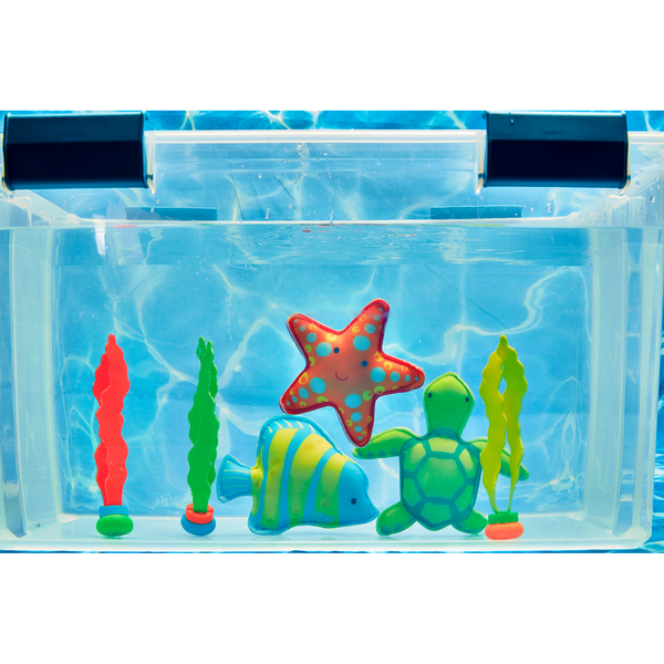 Starfish Dive Toy Set