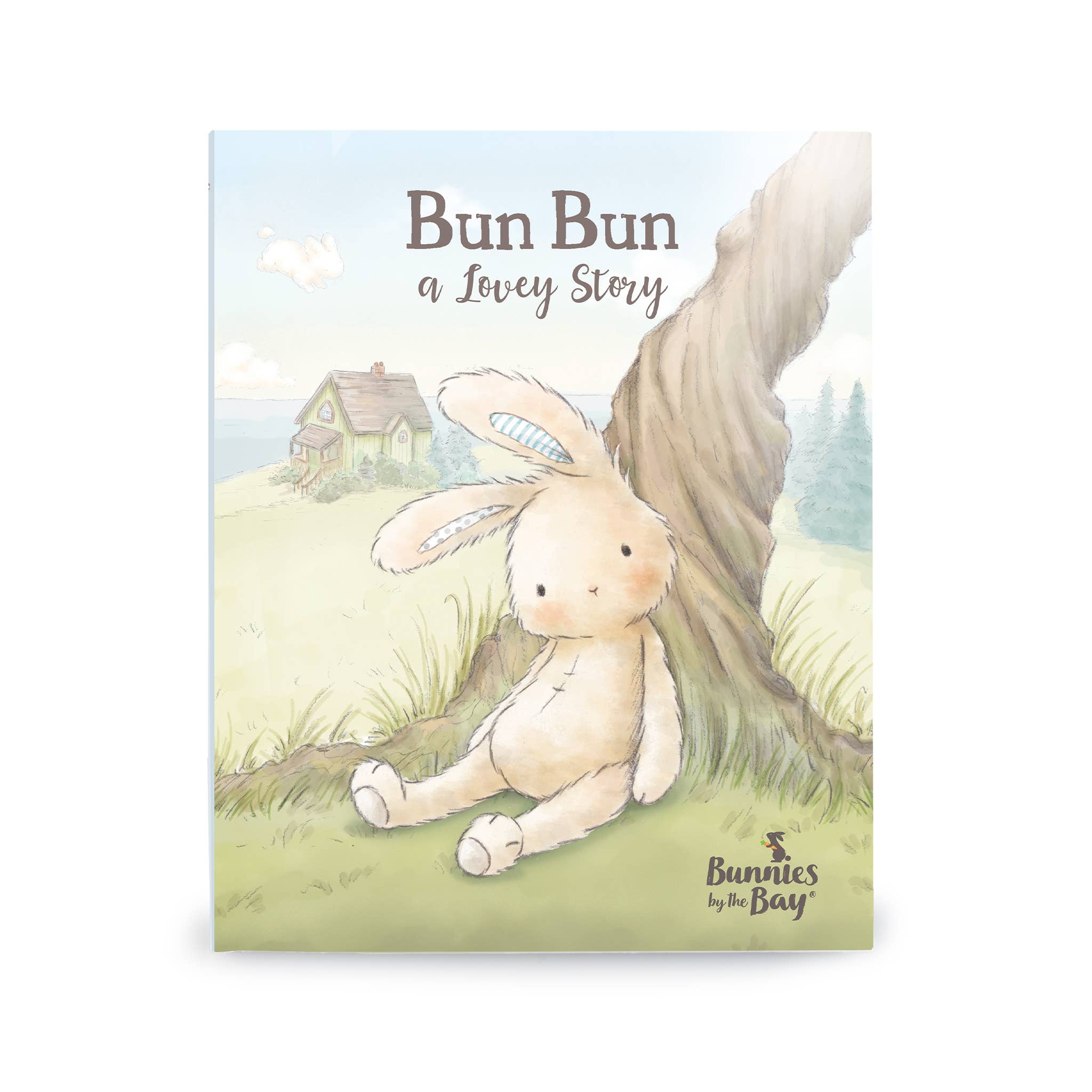 Bun Bun, A Lovey Story Book